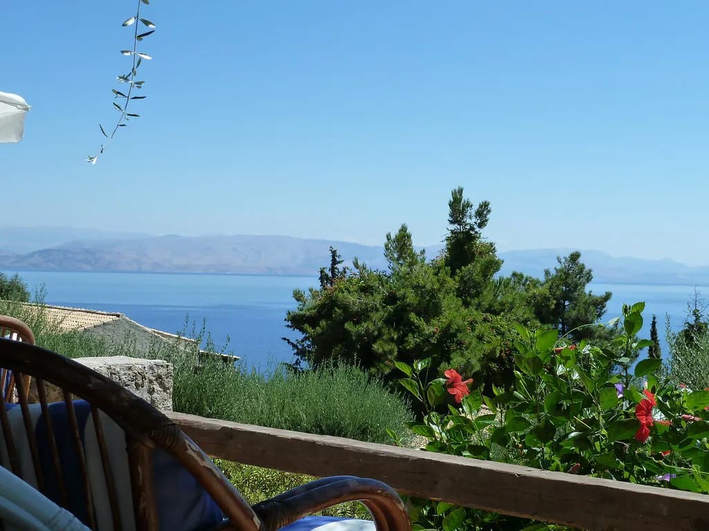 Corfu Kumquat: Liqueur, Sweets and What to Buy