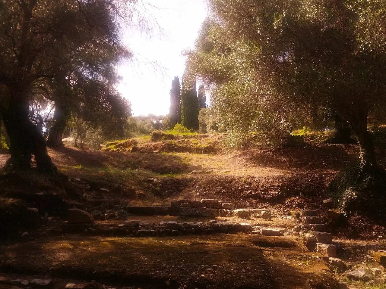 Mon Repos Corfu: Visiting the Palace, Grounds and Royal Bath