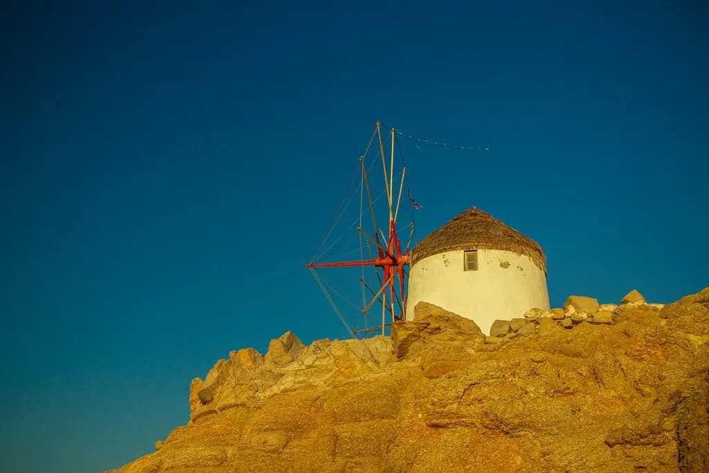 Mykonos Olive Oil Tasting: Farm Visit vs. Workshop