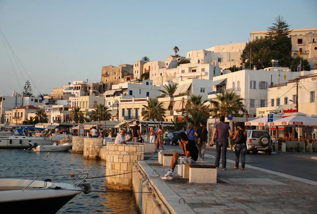 Naxos Olive Oil Tasting: Tours, Tastings and What to Expect