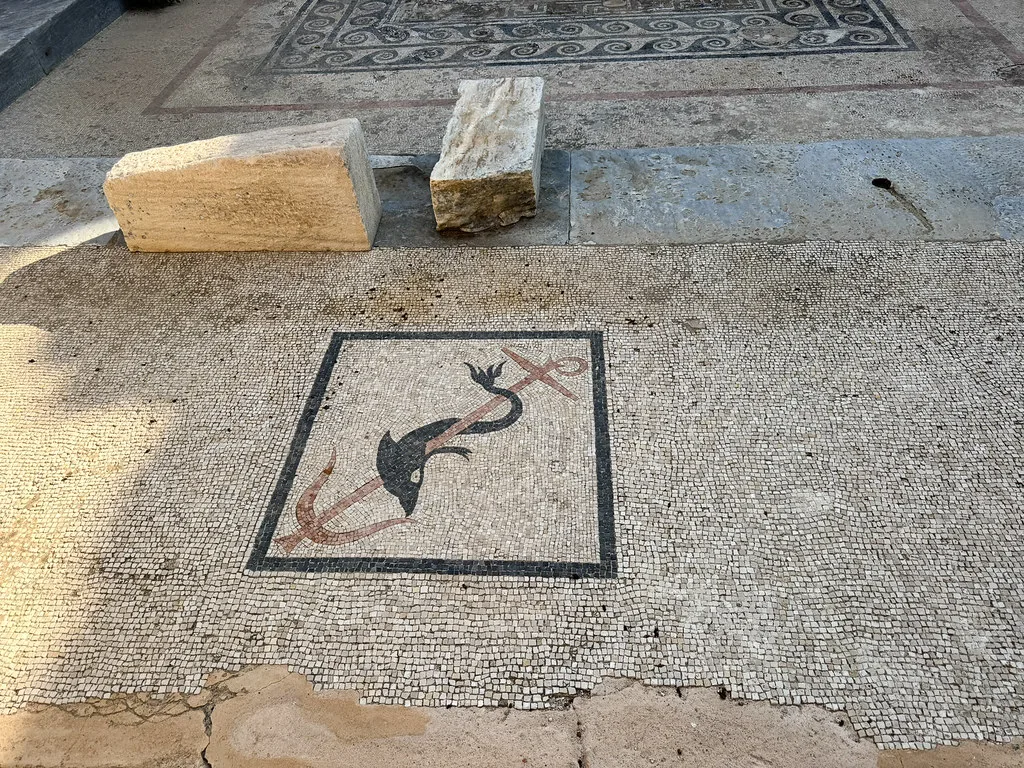 Ancient Greek dolphin mosaic, Mykonos