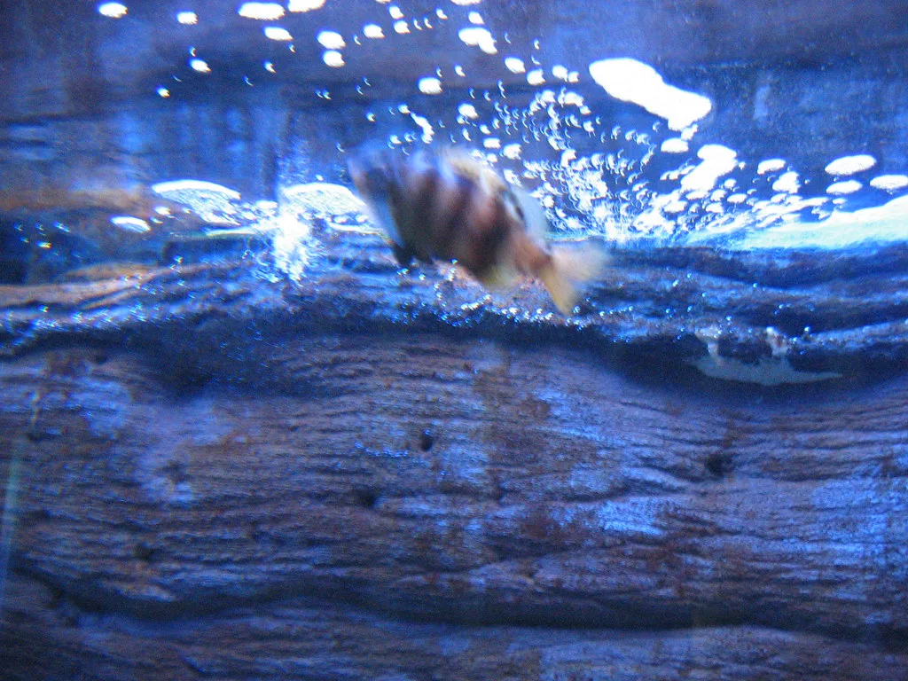 CretAquarium, Heraklion