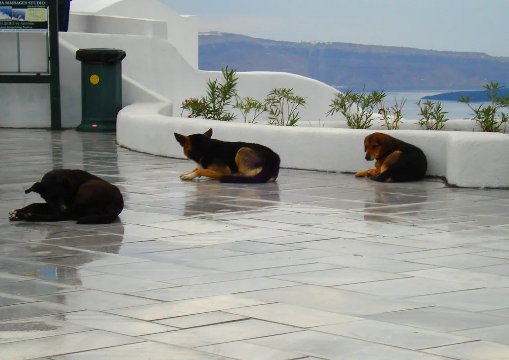 Sleeping in the rain, Santorini