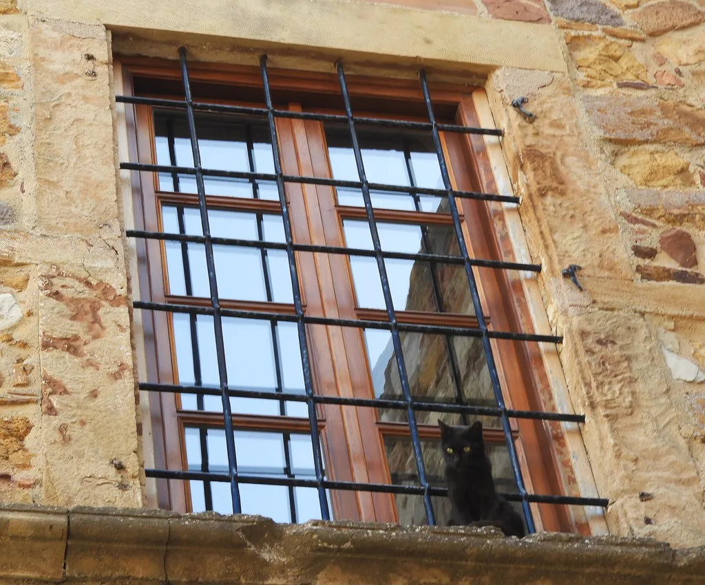 Greece (Chios Island) Curious eyes watching us!!