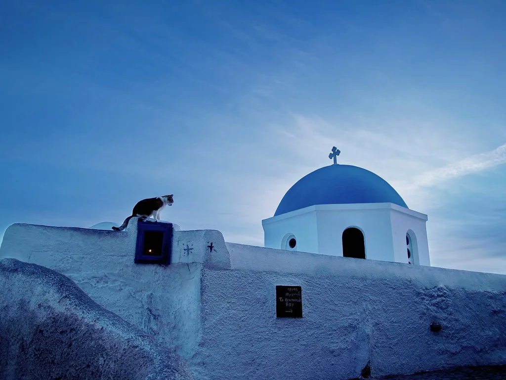 Greek Cat, Greece