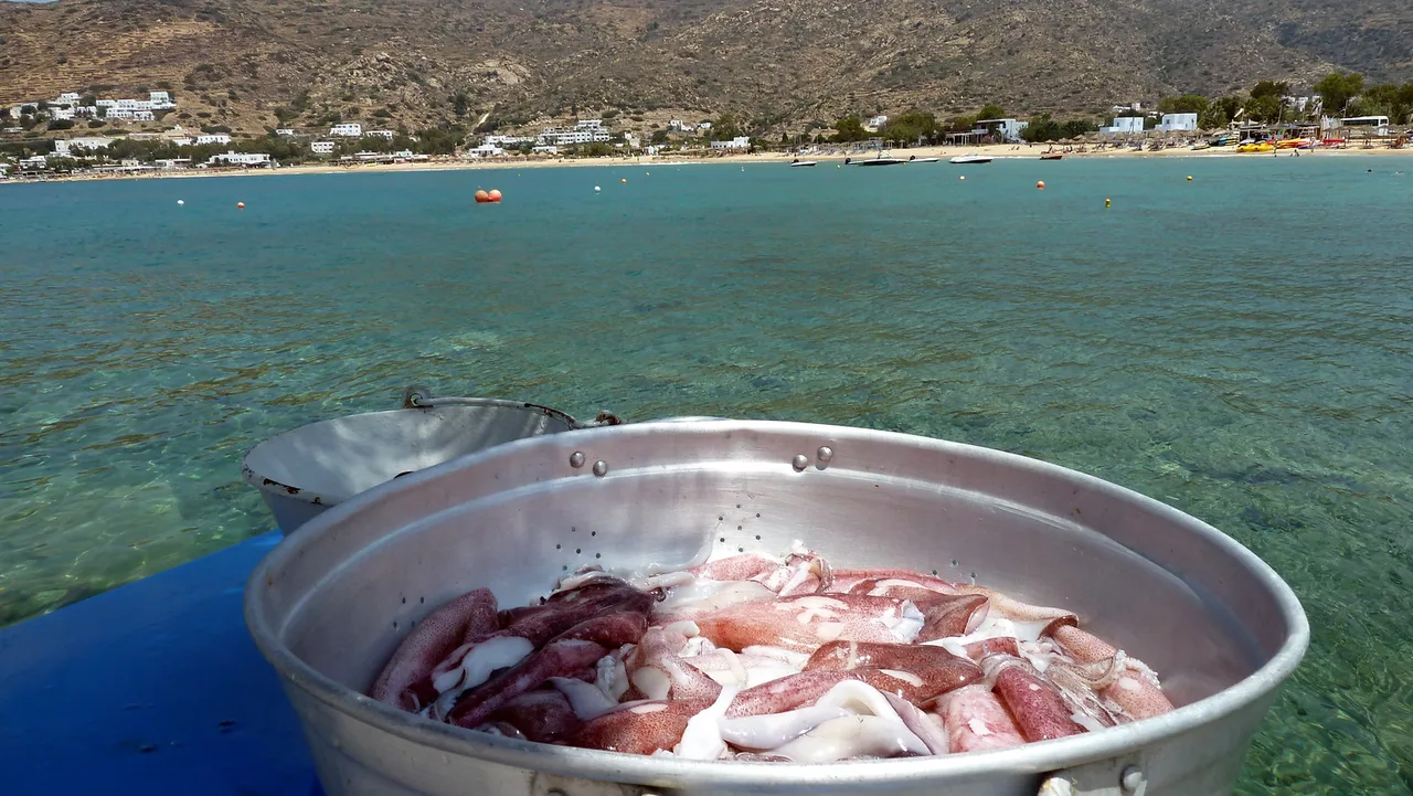 Taverna Drakos, Mylopotas, Greece