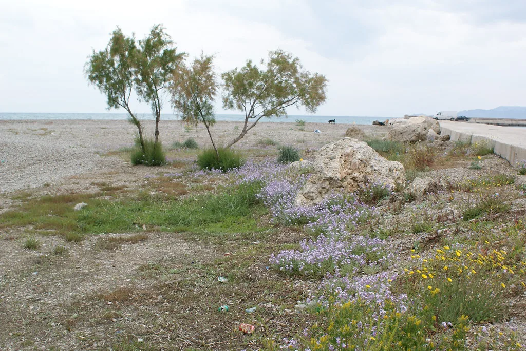 Vrachati, Greece
