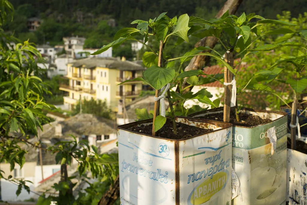 Repurposed Cheese Tins, Greece