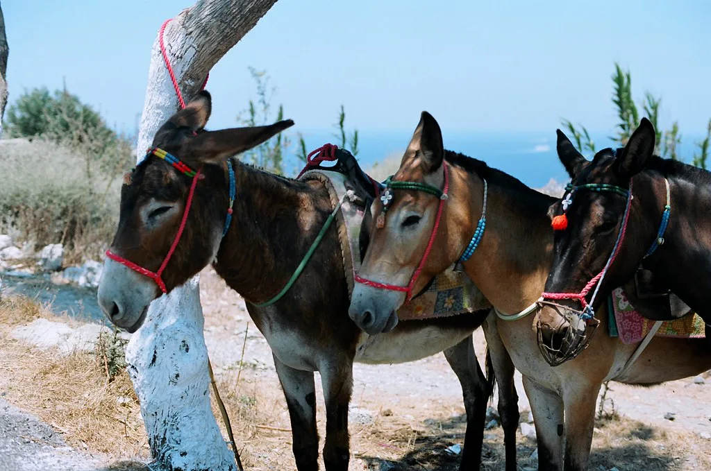 santorini, Greece